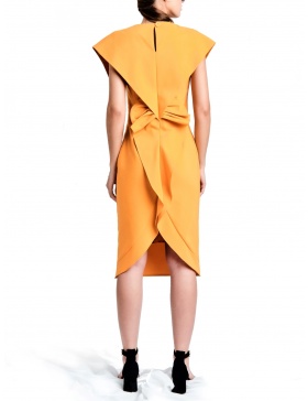 Mustard-Coral Susur Dress
