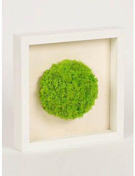 Frame with round shaped green moss