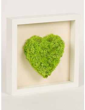 Frame with heart shaped green moss